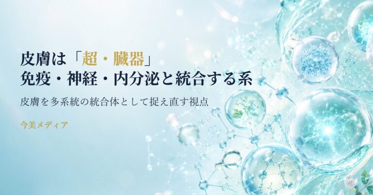 皮膚を「超・臓器」として捉え直す——免疫・神経・内分泌と統合する系としての皮膚